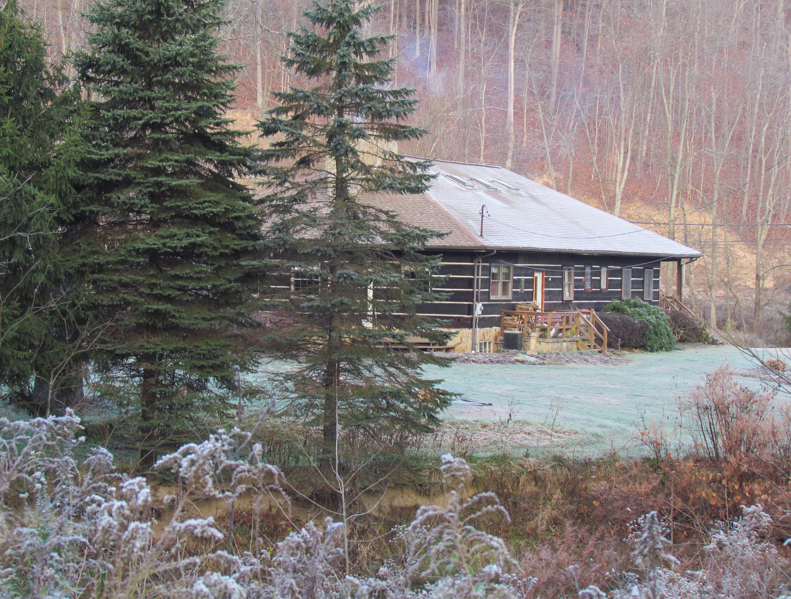 Log cabin ranch-style behind pines